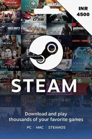 INR 4500 Steam Wallet Gift Code (Digital Code Only)